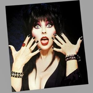 Elvira Mistress Of The Dark Photograph